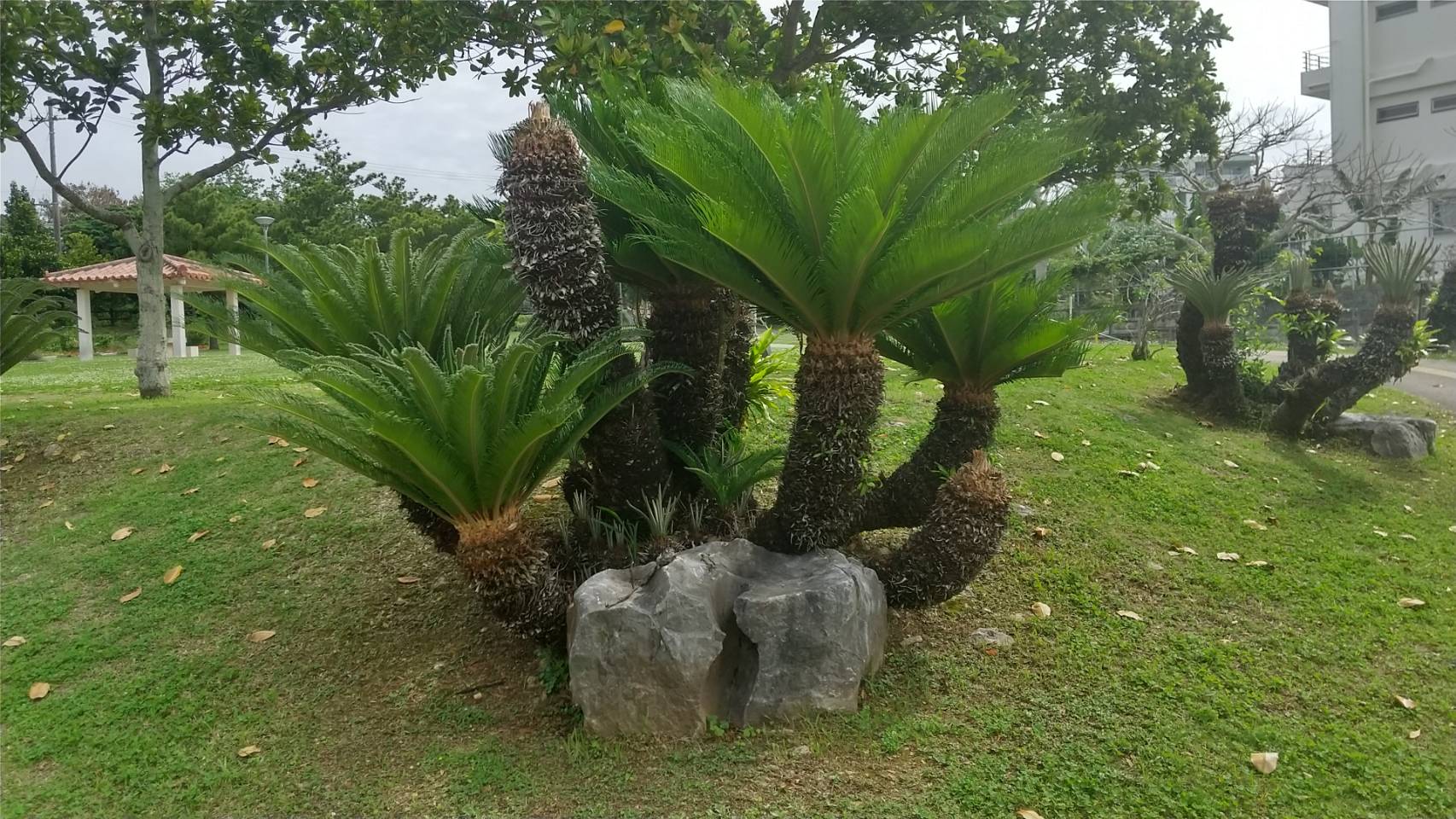 Image title